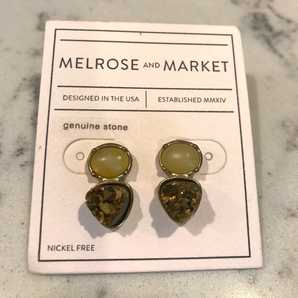 Melrose & Market Genuine Stone Earrings.